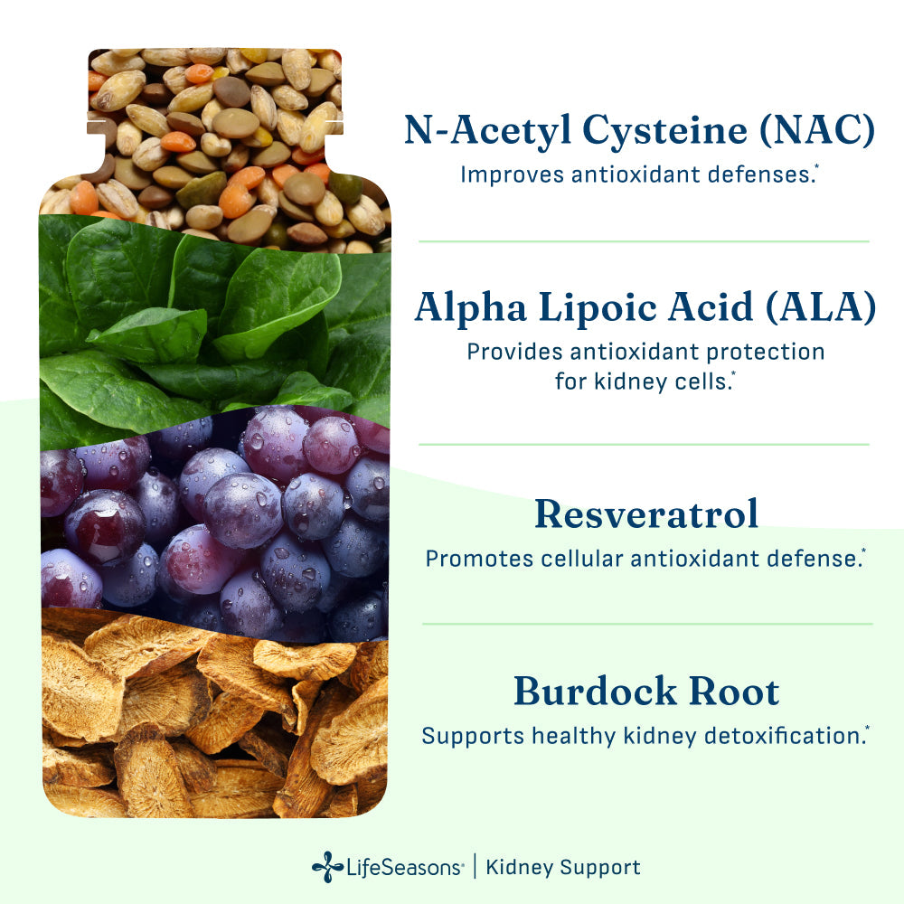 Kidney Support