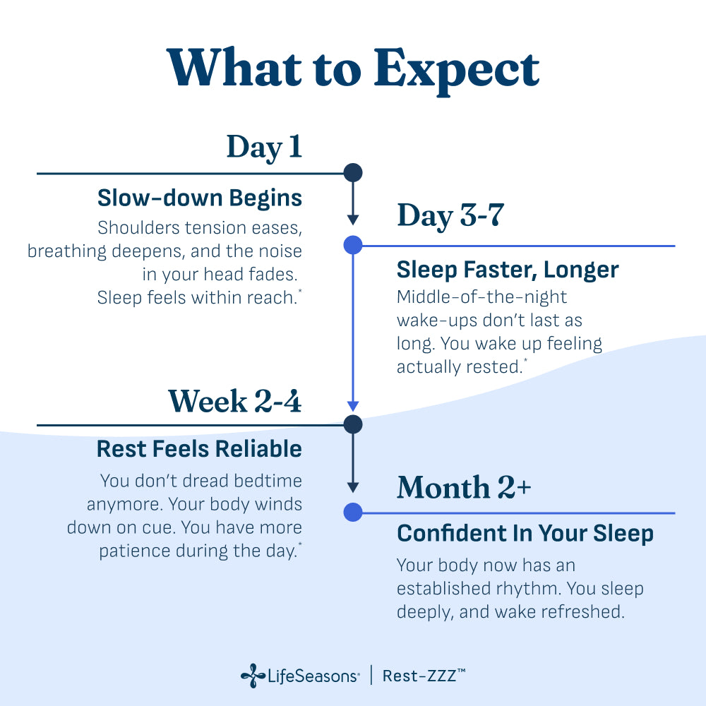Rest-ZZZ